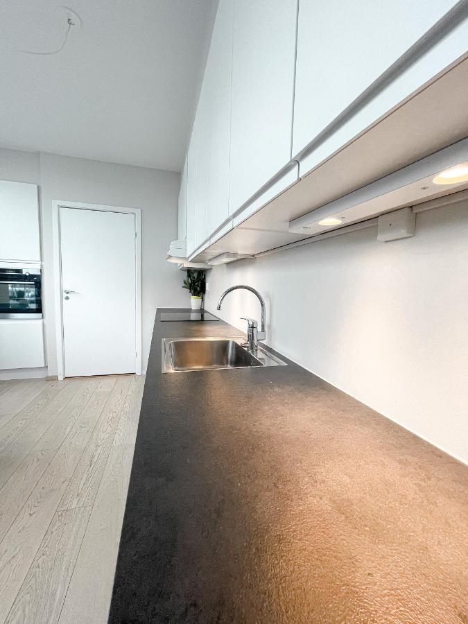 City Center Penthouse Apartment Oslo Zewnętrze zdjęcie
